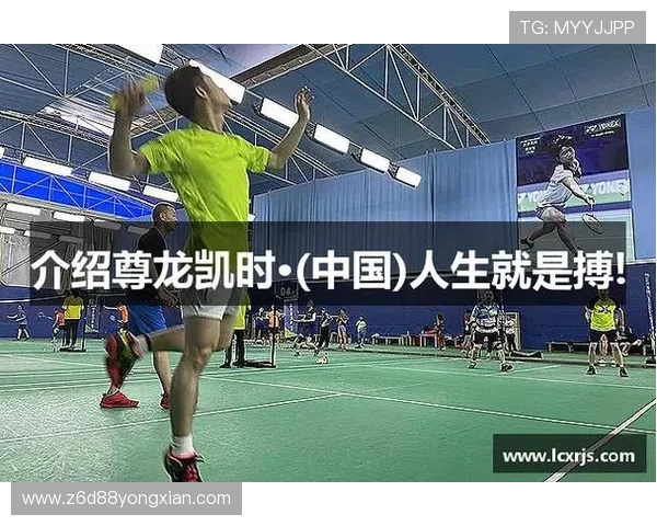 尊龙凯时人生就是搏网址：如何利用数据分析优化游戏策略实现盈利