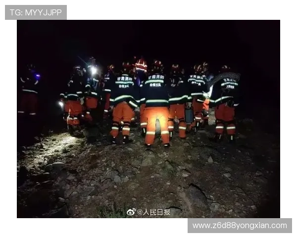 d88官网会员登录遇到问题怎么办？详细步骤帮助你快速解决登录难题